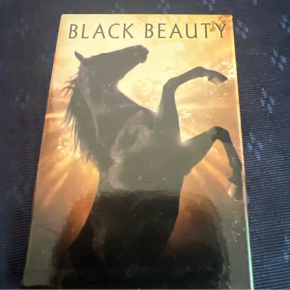 Vintage Movie Rectangle Shaped Button Pin Back Black Beauty 1994 - Picture 2 of 9